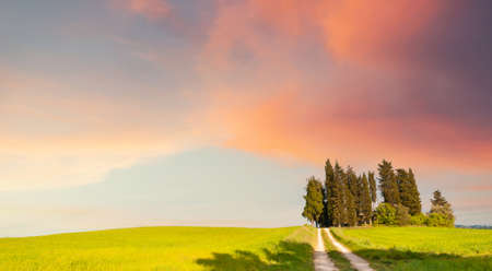 Green hills with cypress trees at sunset in Tuscany, Italy. Beautiful summer landscape. Summer nature backgroundの写真素材