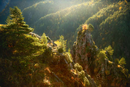Mountains and rocks with green and yellow autumn trees at sunrise. Gil-Su valley in North Caucasus, Russia. Beautiful autumn landscapeの写真素材