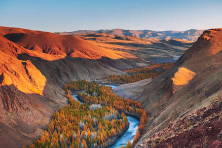 Blue river with yellow autumn trees in Altai mountains. Siberia, Russia. Autumn landscape