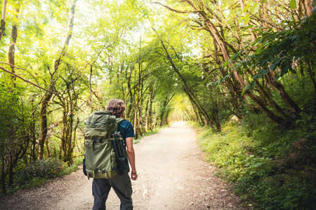 Young man traveler with backpack hiking in the tropical forest. Summer landscape. Travel and adventure conceptの写真素材
