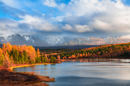 Kidelu lake in Altai mountains, Siberia, Russia. Snow-covered mountain peaks and yellow autumn forest. Beautiful autumn landscape.の写真素材