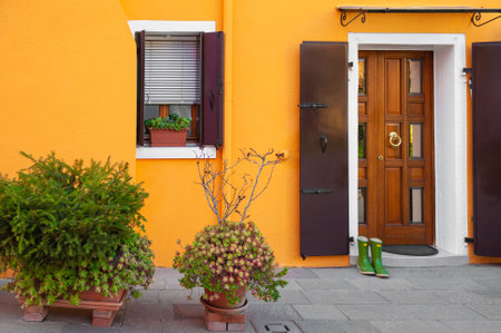 Yellow facade of the house with green flowers. Colorful architecture in Burano, Italy.の写真素材