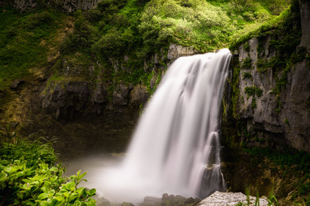 Waterfall in the forest in Kamchatka, Russia. Long exposure shot. Hills and rocks with fresh green grass and trees. Summer landscapeの写真素材