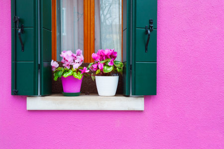 Pink painted facade of the house and window with pink flowers. Colorful architecture in Burano island, Venice, Italy.の写真素材