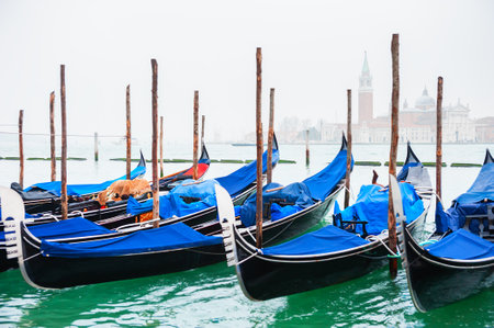 Gondolas on the Grand canal at foggy sunrise in Venice, Italy. San Giorgio Maggiore Cathedral in the background. Famous travel destination.の写真素材