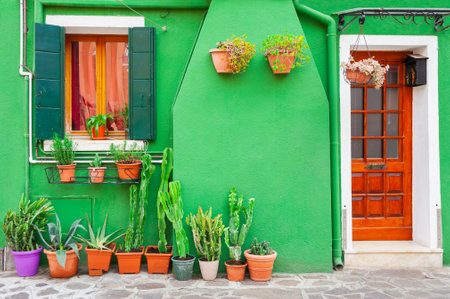 Green facade of the house with green flowers. Colorful architecture in Burano, Venice, Italy.の写真素材