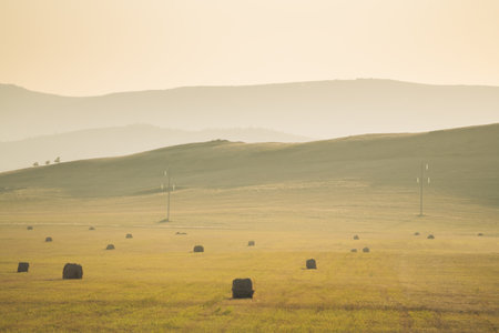 Beautiful summer landscape in countryside at sunset. Hills with green grass and field with haystacks in the evening sunlight.の写真素材