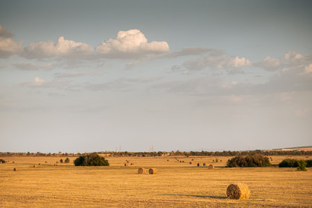 Beautiful autumn landscape in countryside at sunset. Field with haystacks in the evening sunlight.の写真素材