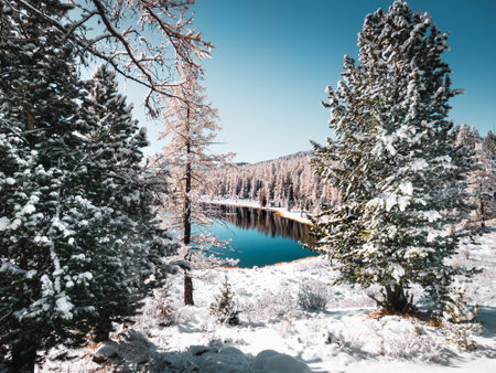 Kidelu lake in Altai mountains, Siberia, Russia. First snow in the autumn forest. Snow-covered trees and mountains.の写真素材