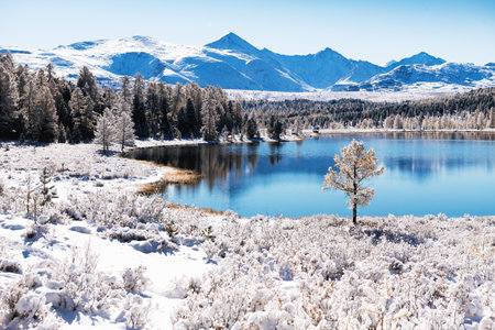 Kidelu lake in Altai mountains, Siberia, Russia. First snow in the autumn forest. Snow-covered trees and mountains.の写真素材