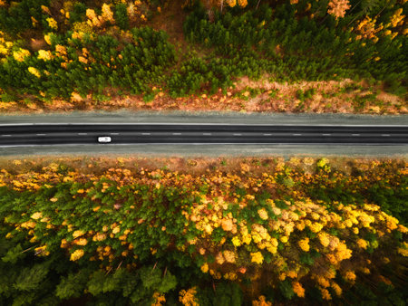 Road with yellow and green trees in the autumn forest. Aerial top down view. Car driving on the...