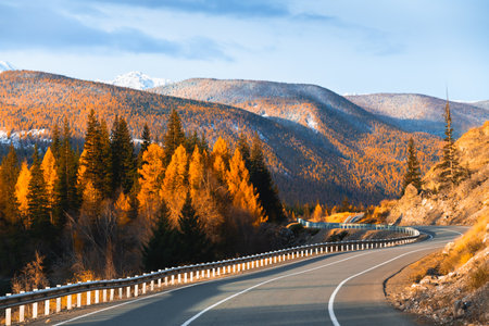 Beautiful road in autumn mountains. Chuysky tract in Altai, Siberia, Russia. Autumn landscape at sunsetの写真素材