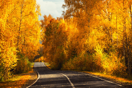 Road with yellow autumn trees in the mountains at sunset. Beautiful autumn landscape. Fall foliageの写真素材