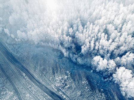 White frost-covered trees in winter forest at foggy sunrise. Aerial top down view. Winter landscapeの写真素材