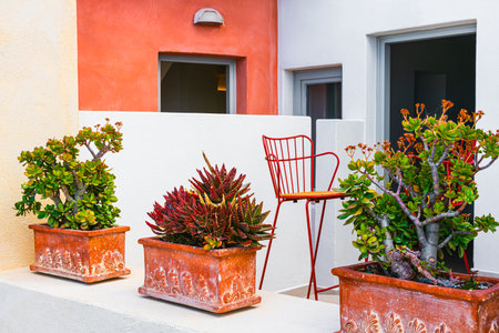 Cycladic architecture in Santorini island, Greece. Cozy courtyard with flowers.の写真素材