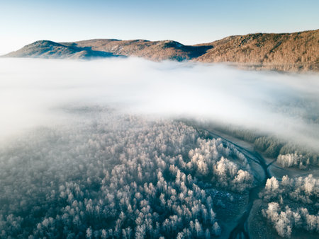 Clouds over the mountains and autumn forest at foggy sunrise. Aerial view. Frost-covered trees in a forest. Autumn landscapeの写真素材