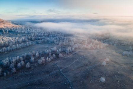 Frost-covered trees in a forest. Clouds over the mountains and autumn forest at foggy sunrise. Aerial view. Road in the forest. Autumn landscapeの写真素材