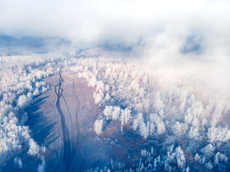 White frost-covered trees in winter forest at foggy sunrise. Clouds over the mountains and forest. Aerial view. Road in the forest. Winter landscapeの写真素材