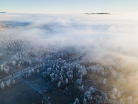 Frost-covered trees in a forest. Clouds over the mountains and autumn forest at foggy sunrise....