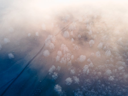 Clouds over the frost-covered trees in autumn forest at foggy sunrise. Road between the trees. Aerial view. Autumn nature backgroundの写真素材