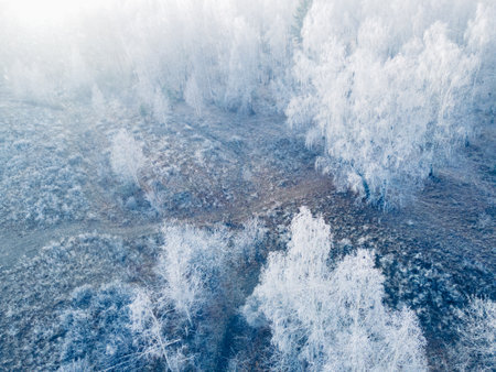 White frost-covered trees in winter forest at foggy sunrise. Aerial view. Clouds over the mountains and forest. Winter landscapeの写真素材