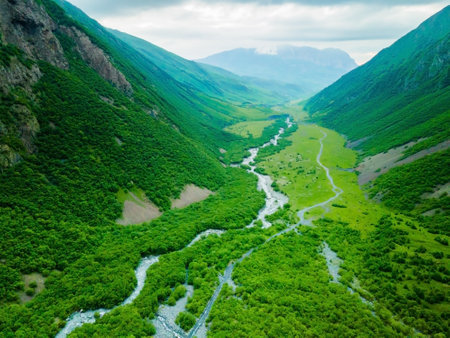 Green trees and river in the mountain gorge at foggy day. Aerial view. Beautiful summer landscape....