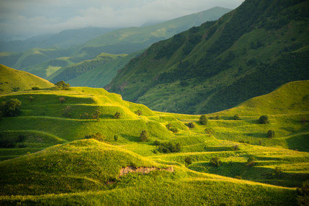 View of the green agricultural terraces in the mountains at sunset. Chokh village in Dagestan,...