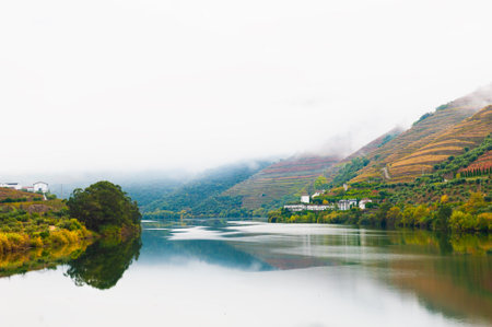 Colorful autumn vineyards in Douro river valley in Portugal. View of the hills and Douro river in foggy morning. Autumn landscapeの写真素材