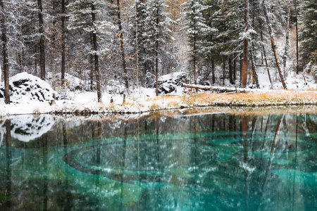 Geyser lake and snow-covered trees in autumn forest after snowfall in Altai mountains, Russia. Beautiful autumn landscapeの写真素材
