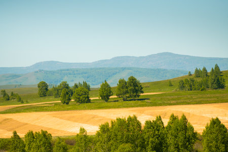Hills and mountains with green trees at sunny day. Agricultural fields on the hills. Beautiful...