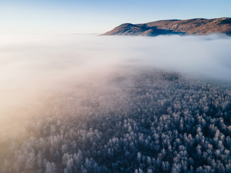 Clouds over the mountains and autumn forest at foggy sunrise. Aerial view. Frost-covered trees in a forest. Autumn landscapeの写真素材