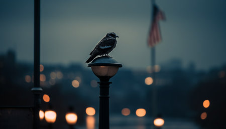 view of the city hallの素材