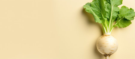 A single fresh turnip with vibrant green leaves against a soft beige backdrop.