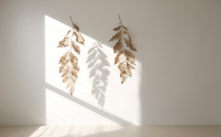 Two dried leaves hang against a white wall, casting long shadows from sunlight. Minimalist, calming decor.の写真素材
