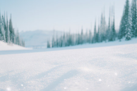 A serene winter scene showcasing sparkling snow covering the ground of a snow-covered forest. The image evokes a peaceful atmosphere.の写真素材
