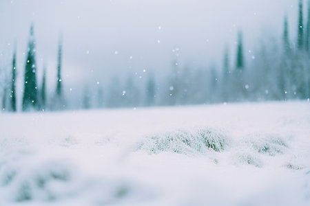 A tranquil winter scene. Snow softly falls on a field with distant trees. Peaceful and serene.の写真素材
