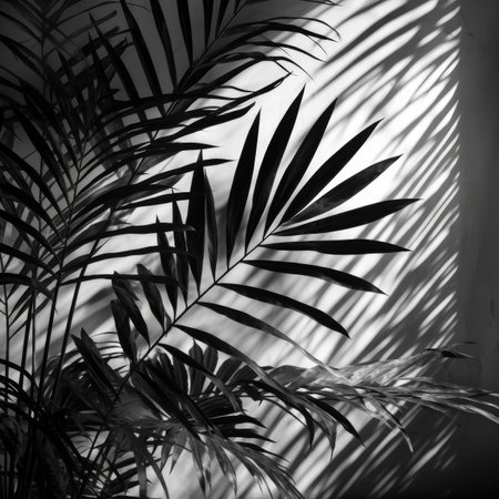 Black and white photo of palm leaves and their shadows on a wall, showing the contrast between light...