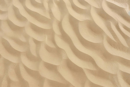 Ripples and curves of desert sand dunes creating a captivating texture.