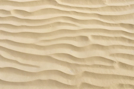 Close-up view of gently rolling sand dunes, displaying a soft, creamy beige hue and smooth texture.