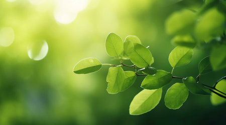 Sunlight filters through leaves on a vibrant spring branch. Nature's beauty at its finest.の写真素材