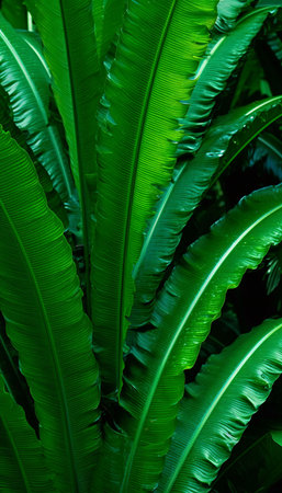 Close-up of vibrant green tropical leaves, showing rich textures and natural beauty.の写真素材
