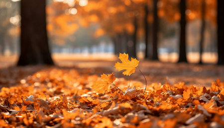 A tranquil autumn scene featuring golden leaves scattered across a sunlit park floor. The warm...