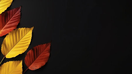 Autumn leaves in shades of red and yellow arranged against a dark background. A beautiful display of fall colors.の写真素材