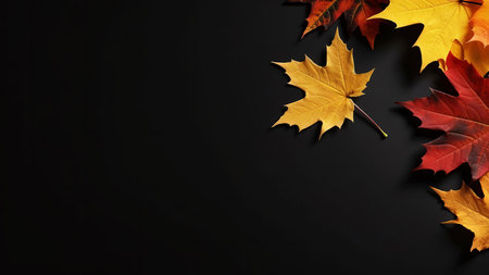 Colorful autumn maple leaves arranged on a black background. Perfect for fall designs.