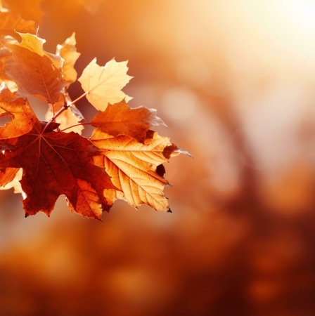 Close-up of vibrant orange and golden maple leaves bathed in sunlight. Autumnal scene.