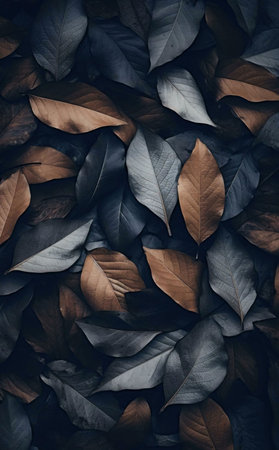 A collection of dark and bronze autumn leaves creating a beautiful, moody textureの写真素材