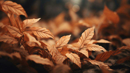 Close-up of dried autumn leaves on the forest floor. Warm, earthy tones create a serene atmosphere.の写真素材