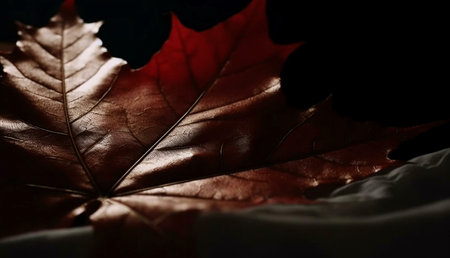 A macro shot of a single autumn maple leaf, showing its intricate veins and rich color against a...