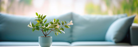 A small flowering plant in a light blue pot sits on a table in front of a softly blurred teal sofa, creating a calm and peaceful home interior scene.の写真素材