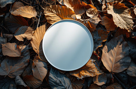 A white circular mirror rests on a bed of fallen autumn leaves, creating a serene autumnal scene.